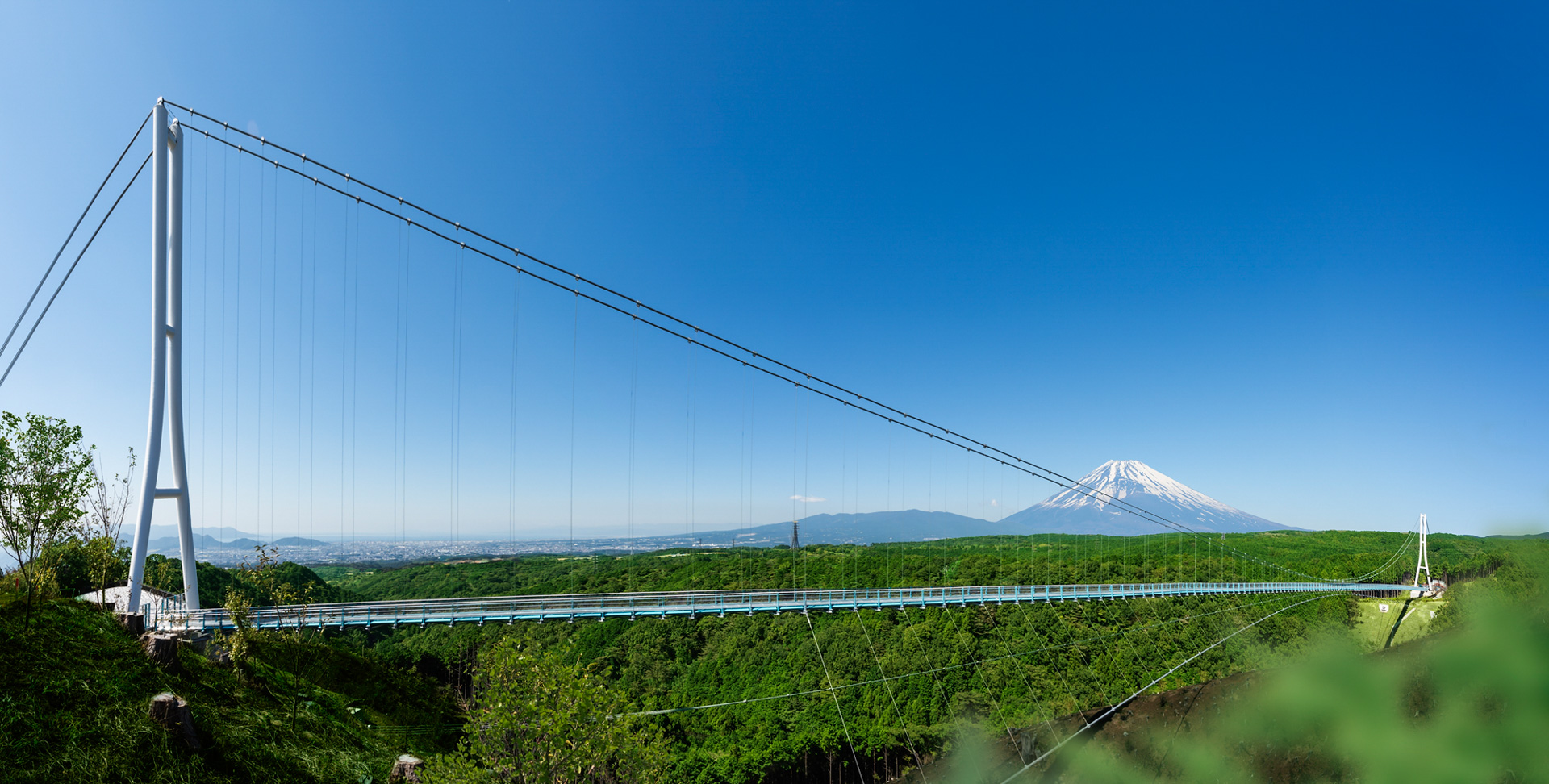 Forest Adventure Mishima Skywalk Explore Shizuoka Activities