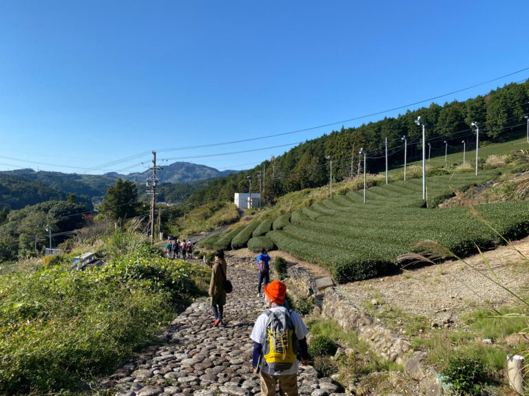 1103竭｡ 084 768x576