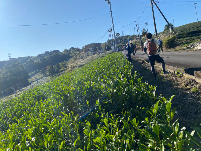 1103竭｡ 096 768x576