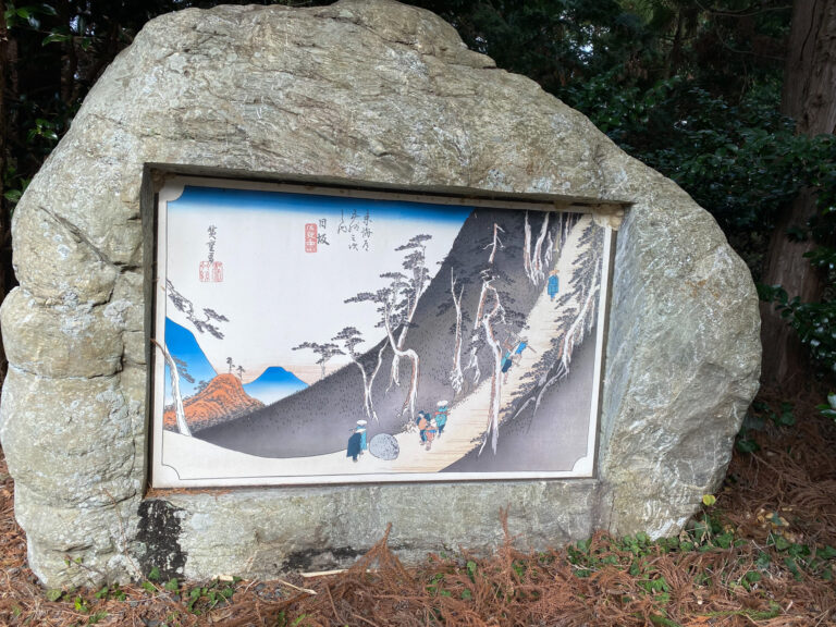 2020 02 02 005 768x576