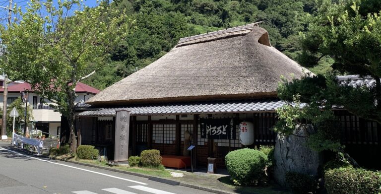 Five Day Tokaido Tour 3 768x391