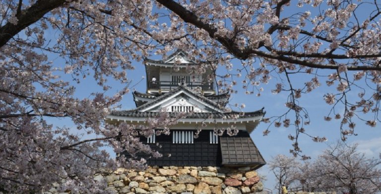 Five Day Tokaido Tour 5 768x391