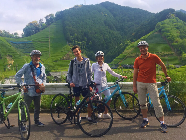 Hybrid Bike Tour Through Green Tea Fields 768x576