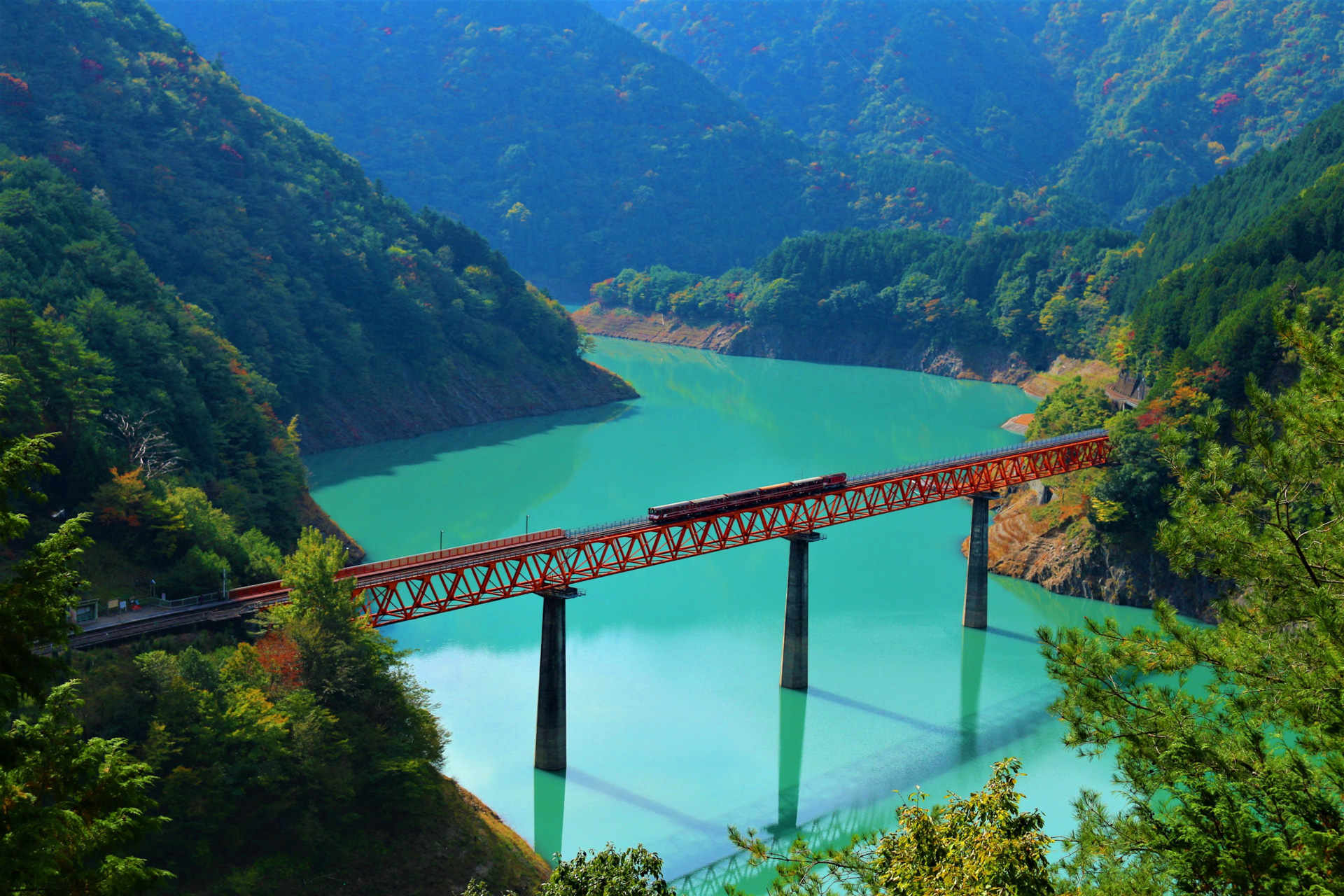 journey-to-bridge-of-dreams-explore-shizuoka-activities