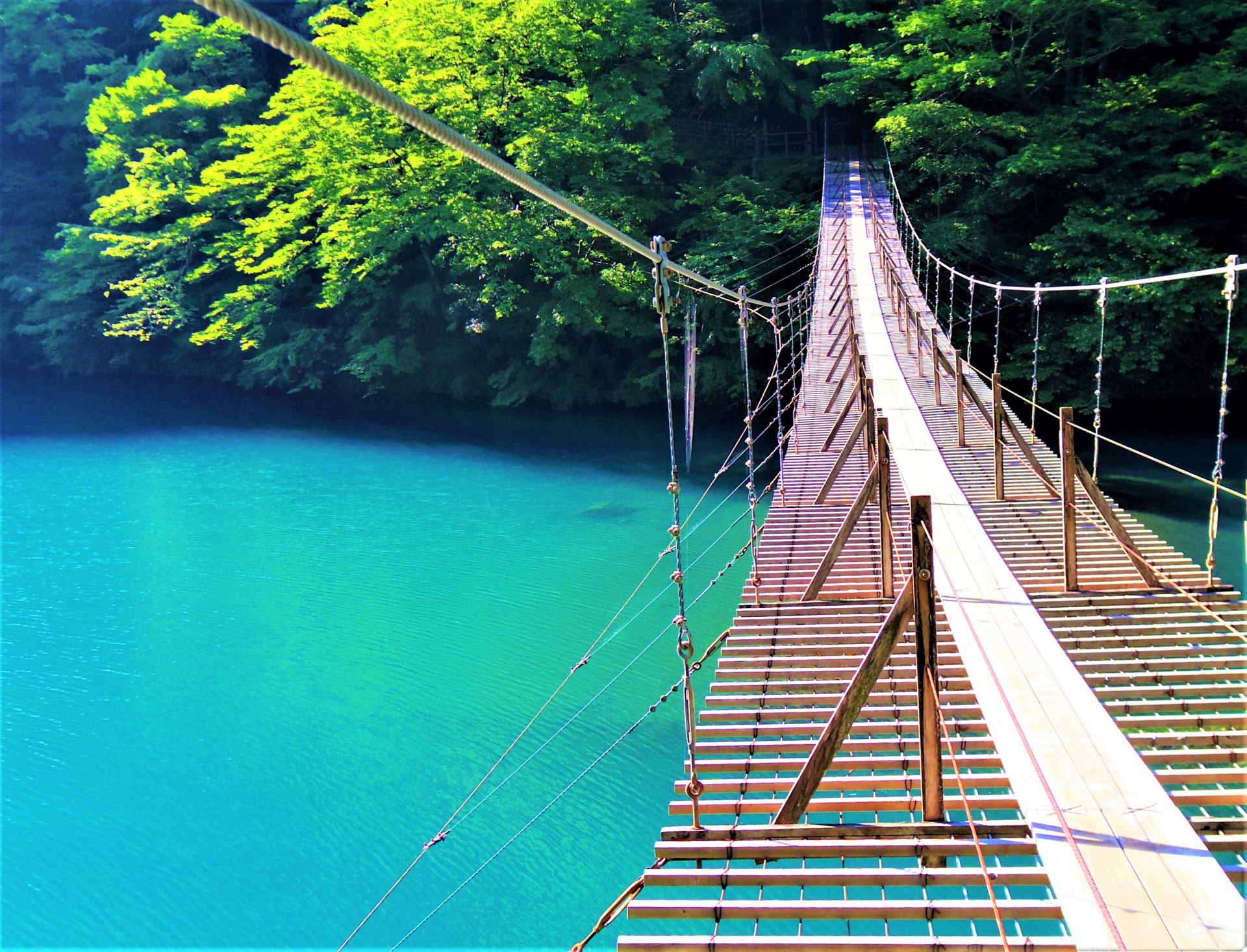 Journey to Bridge of Dreams Explore Shizuoka Activities