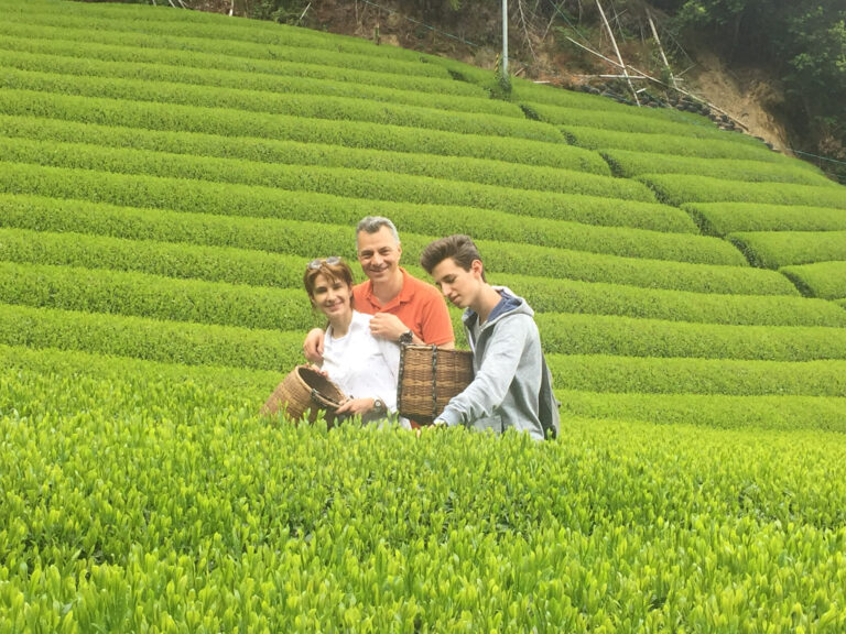 unnamed file 1 768x576