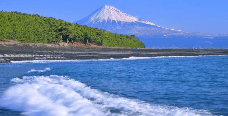 220117 縮小圧縮後 三保の松原 1 768x391