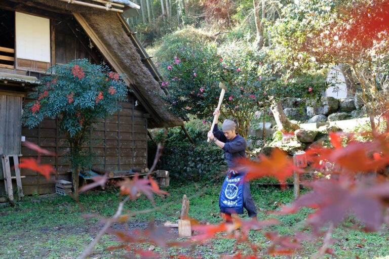 50681700 874122822935686 9006492303124070400 o1 768x512