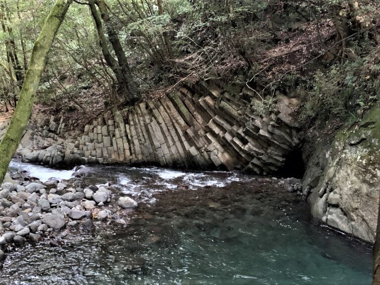 IMG 0105 768x576