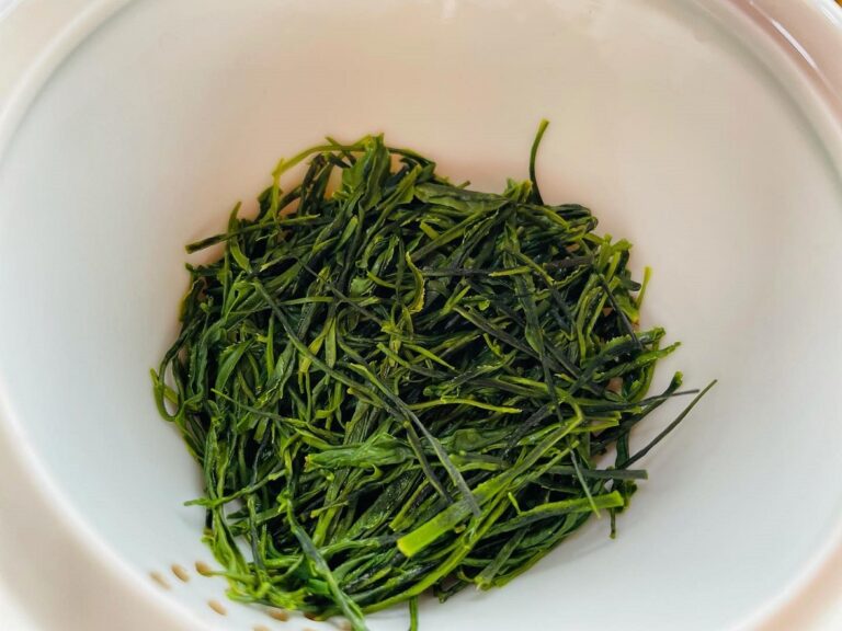 279362171 669504224310520 1668945578855369250 n 768x576