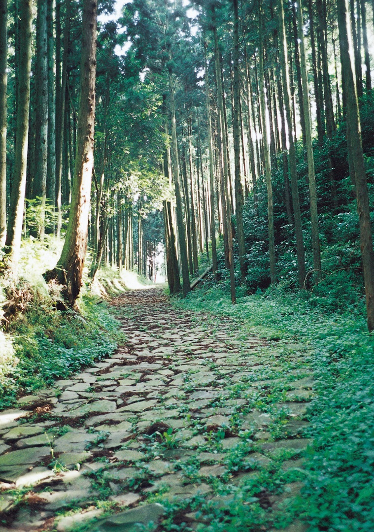 Hakone Hachiri 2
