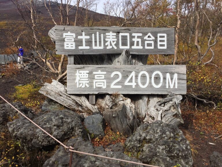 IMG 5823 コピー 768x576