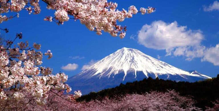 OnlineDiscover Mt. Fuji Online Experience 1 768x391