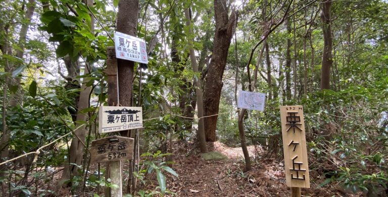 Tea Village Adventure Tour Enjoy rogaining and seasonal village tour 3 768x391
