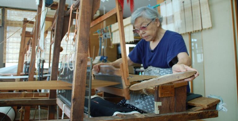 green tea trip in Kakegawa 3 768x391