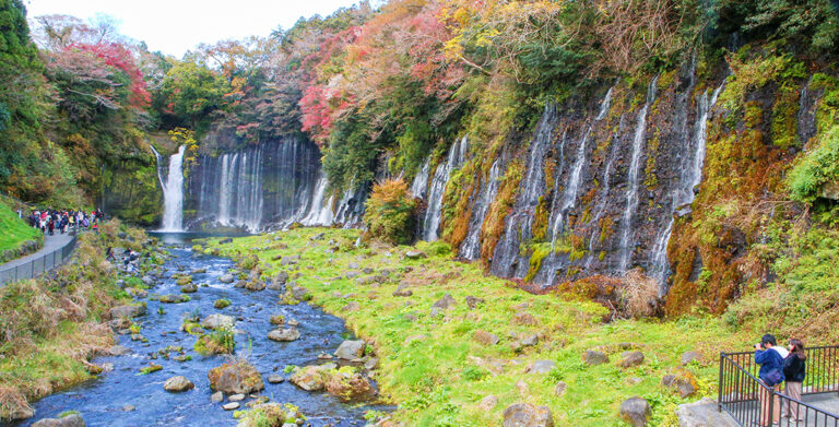 IMG 84842tsj 768x391