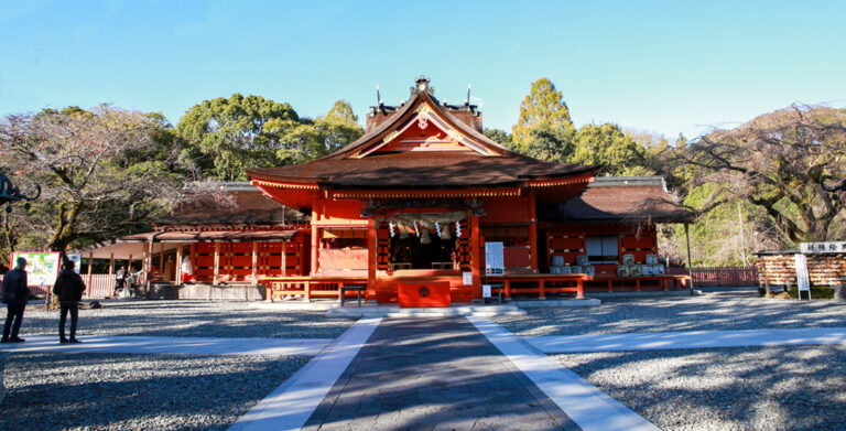 IMG 88982tsj 768x391