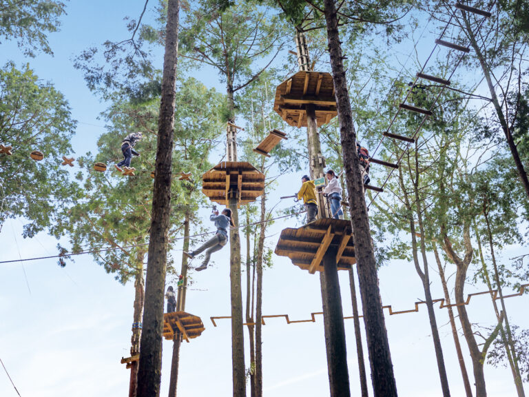 アドベンチャーコース 768x576