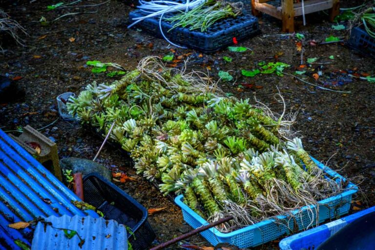 M 032 name 12 768x512