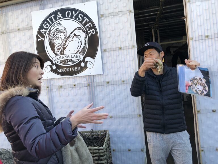 oyster upd 02 768x576