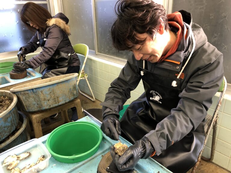 oyster upd 03 768x576