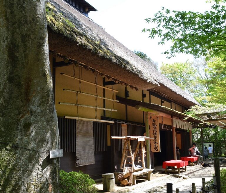 amazakechaya コピー 768x656