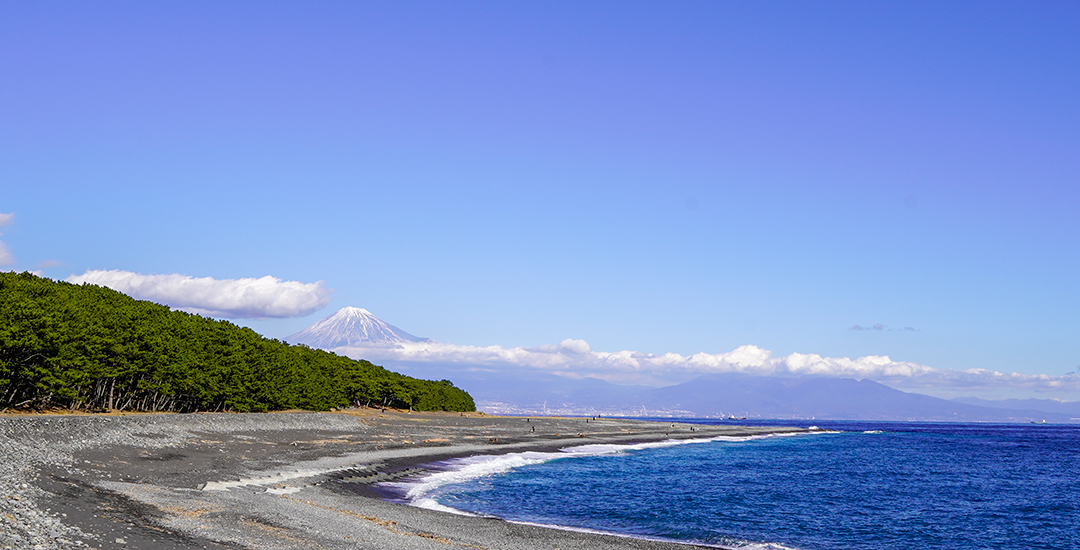 Miho no Matsubara Culture & Creativity Center Miho Shirube - Miho