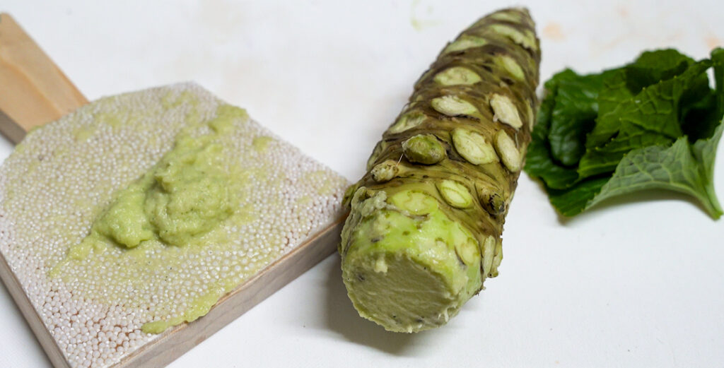 Let’s eat real wasabi! Explore Shizuoka Activities