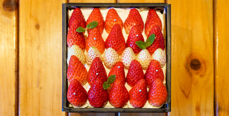 石垣イチゴ② 1 768x391