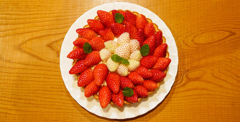 石垣イチゴ⑤ 1 768x391