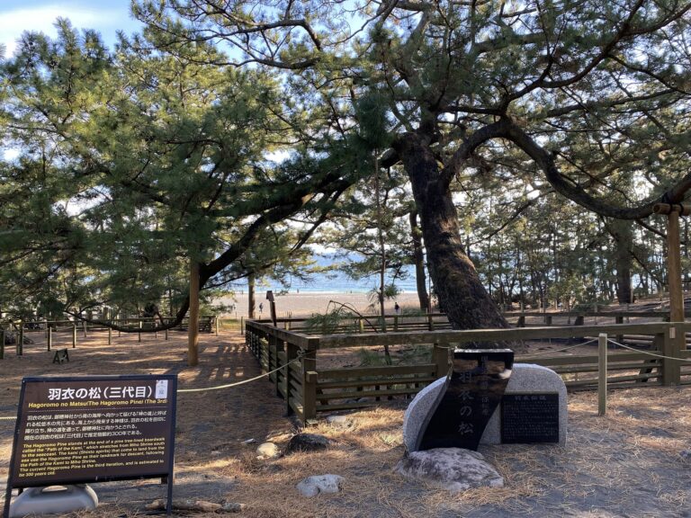 3223 掲載用 768x576