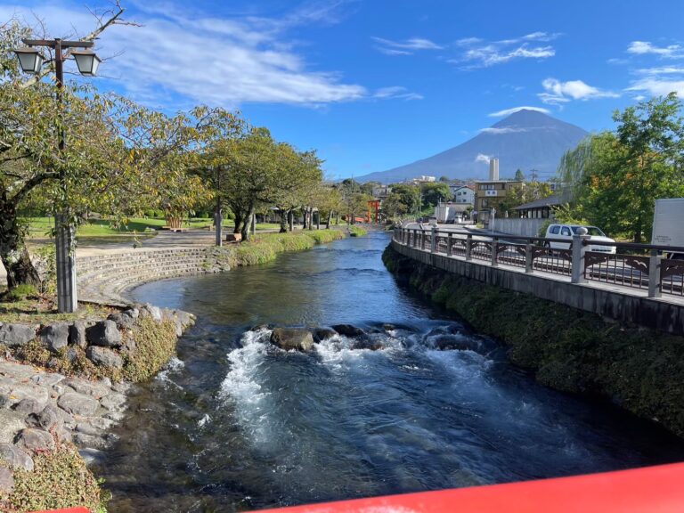 28959425 66a4 49b6 accf 96e5f1721bf0 768x576