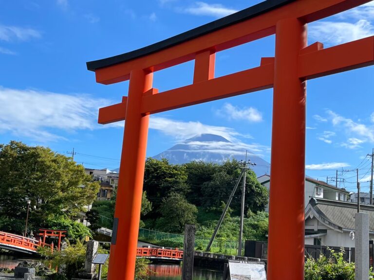 ec44c597 89eb 4cea 8caf 0f3fe202bfef 768x576