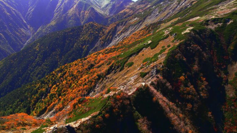 ヘリハイく3分版 完成 frame at 0m45s 紅葉 768x432