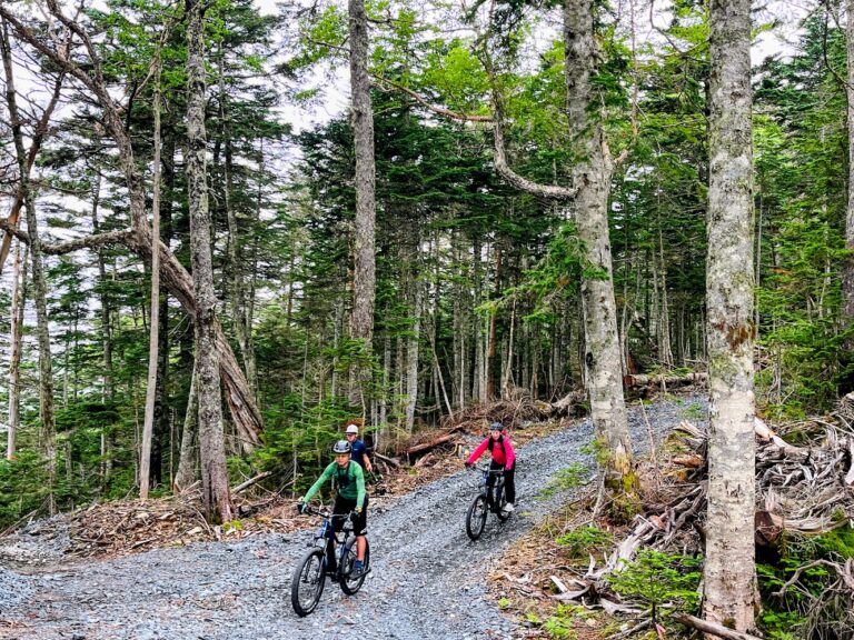 IMG 5010 EDIT 768x576