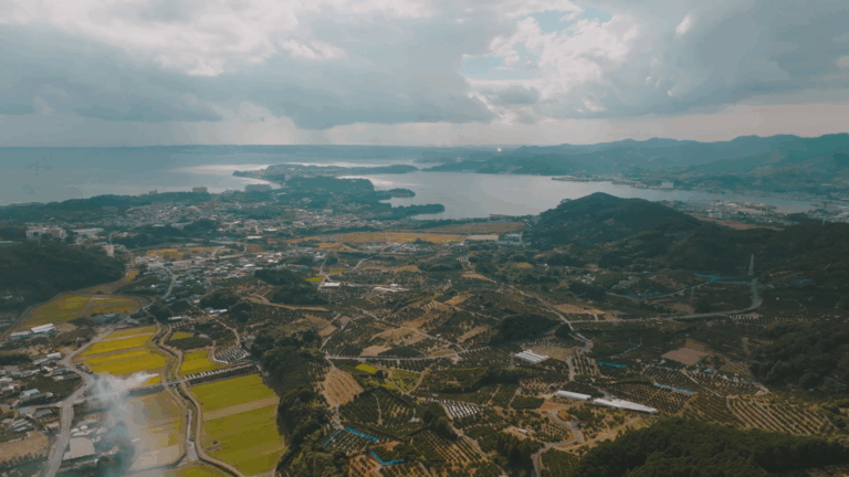 Still1204 00056 768x432