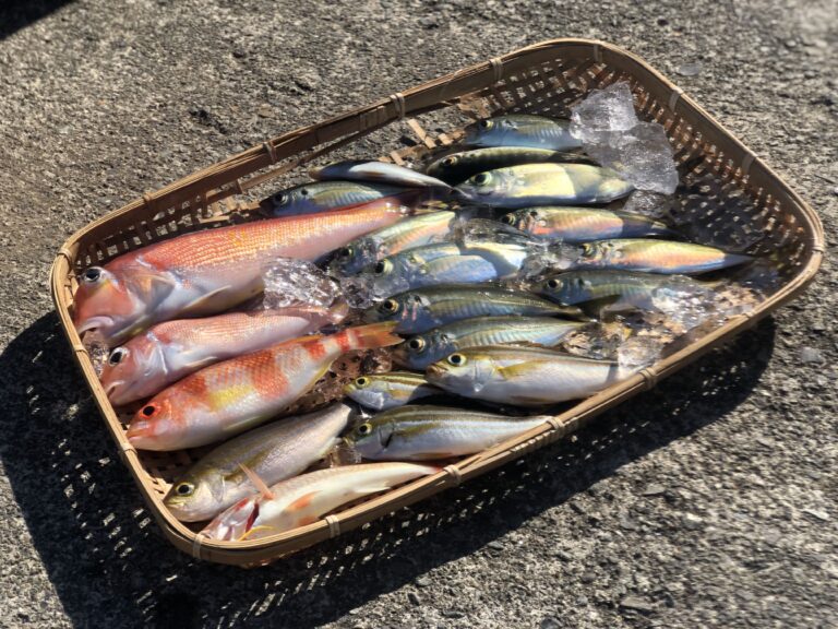 sea to table 03 768x576