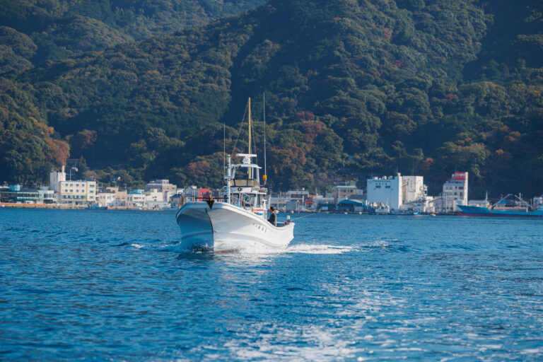 sea to table 08 768x512