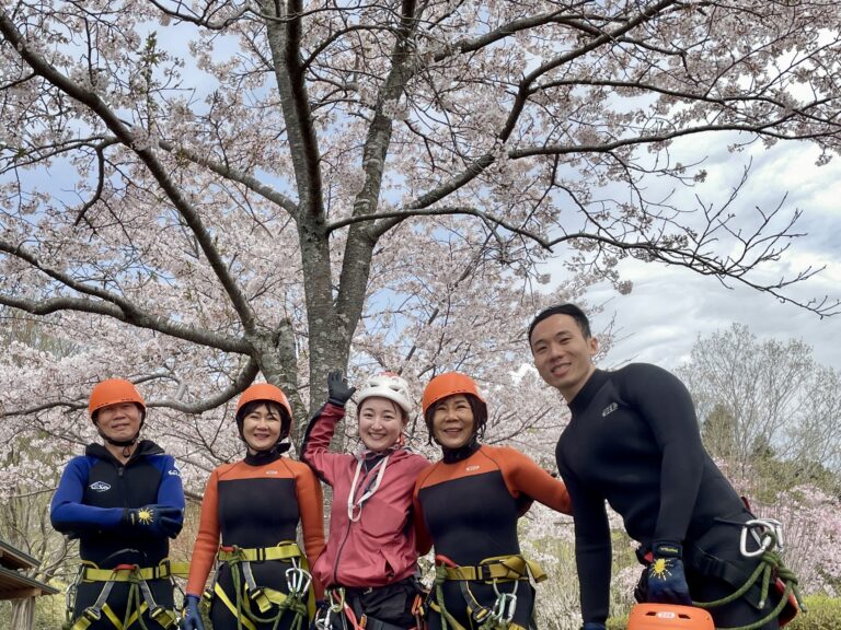 sakuraヨコ 768x576