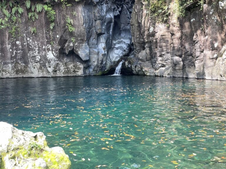 waterfall pool 768x576
