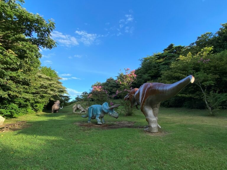 小室山２ 768x576