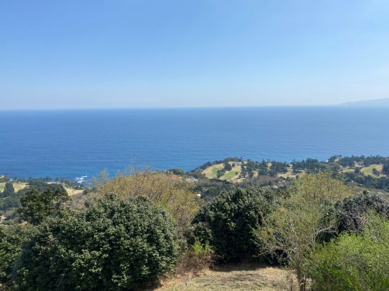 小室山３ 768x576