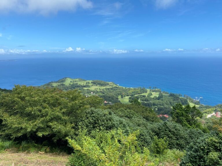 小室山４ 768x576