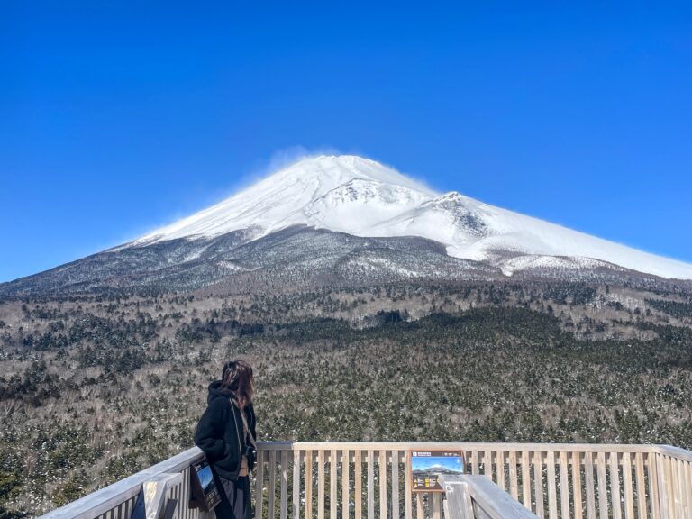 Mt. Fuji 2 768x576