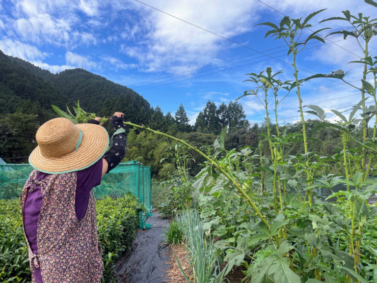 川根１ 1 768x576