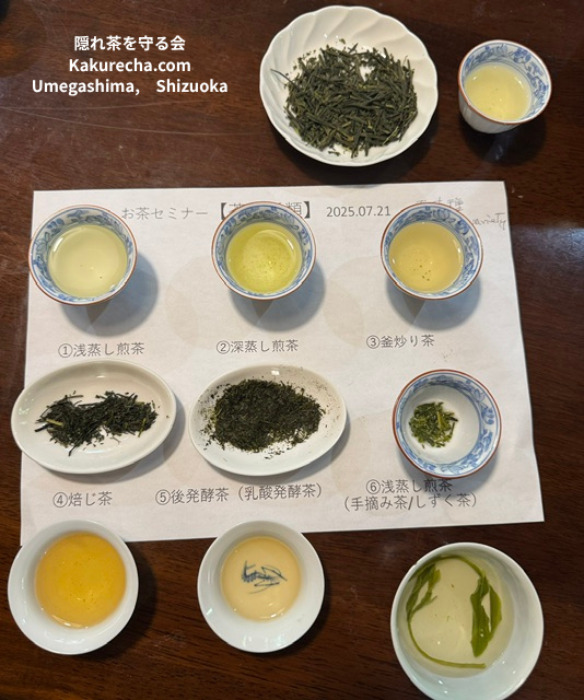 IMG 1489 tea tasting01