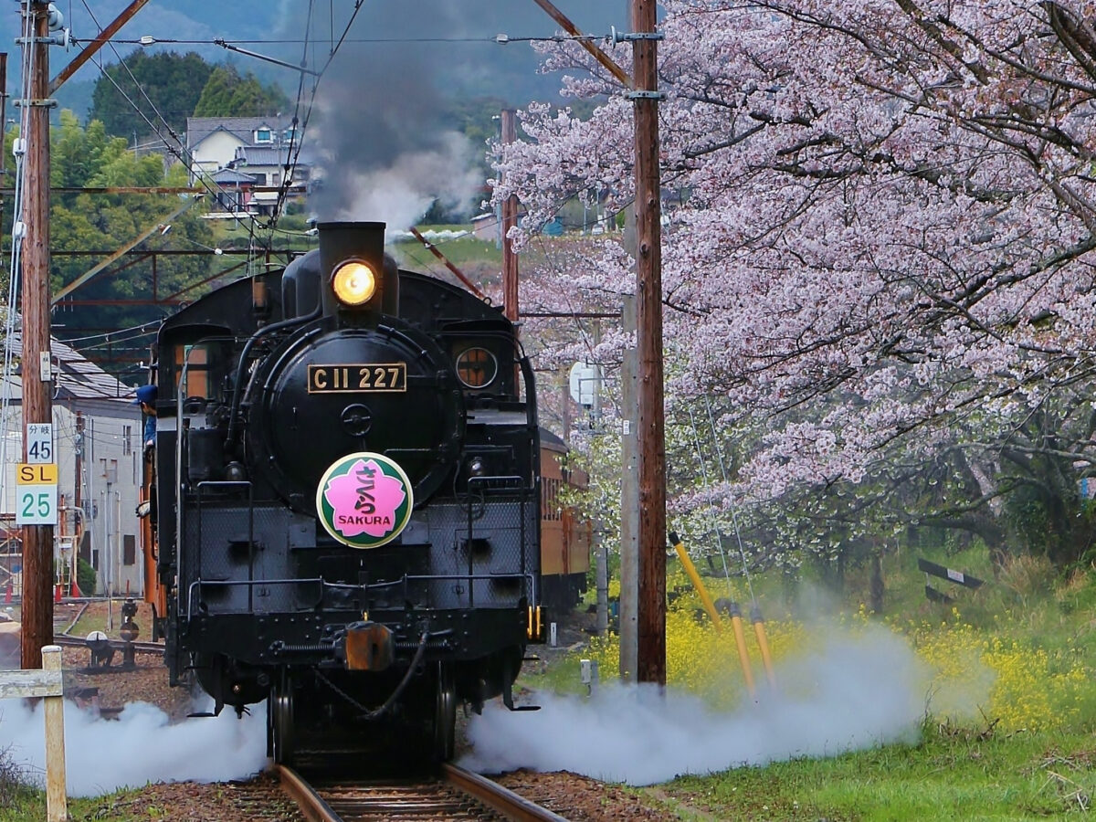The Oigawa Excursion Train Ticket is great value for 2 - 3 days unlimited travel around the area.