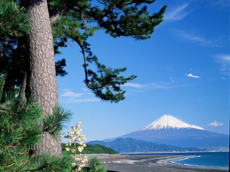 Miho no Matsubara ~ Experiencing the sacred Mt. Fuji and the original landscape of Japan steeped in legend~