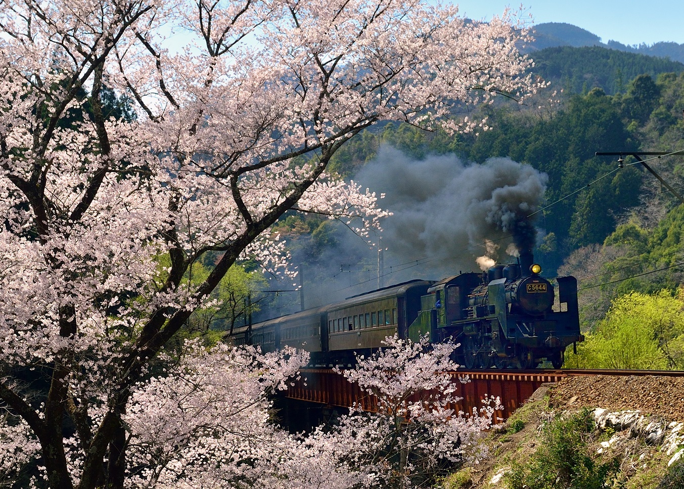 Sumata Gorge and Oigawa Railway - Explore Shizuoka