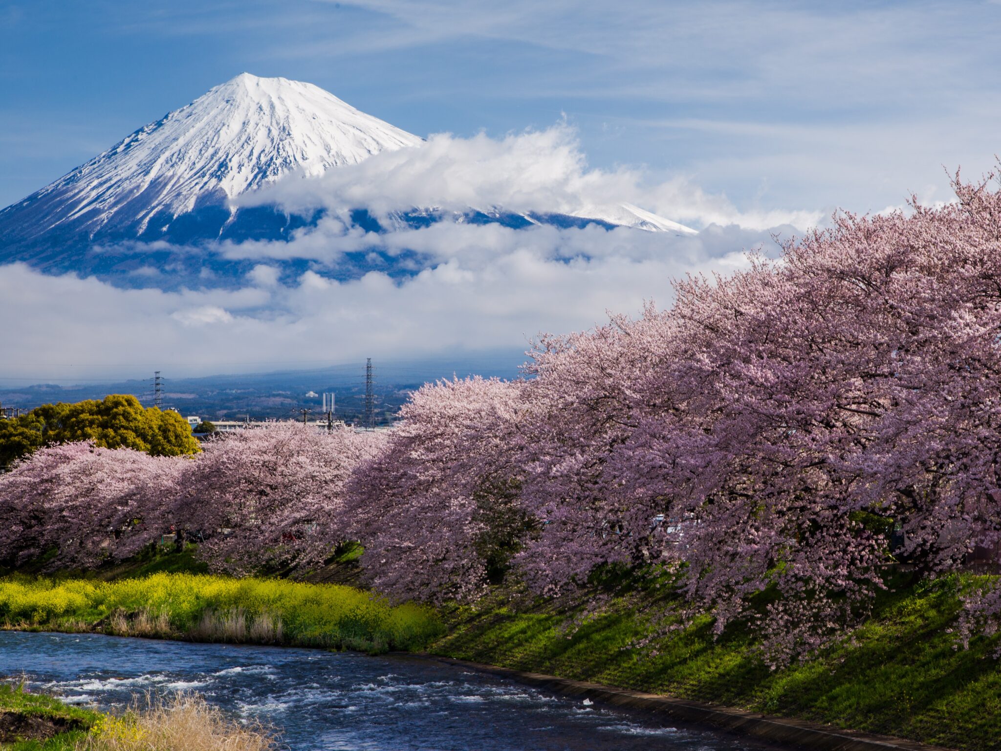 Shin-Fuji Station - Explore Shizuoka